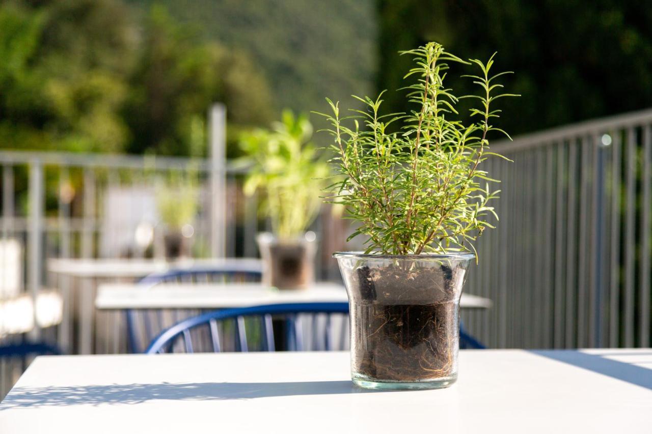 Vistalago Torbole Torbole Sul Garda Exterior photo
